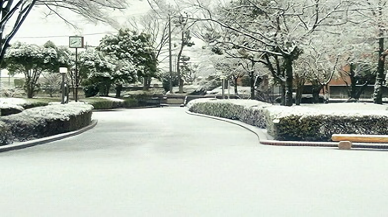 雪景色